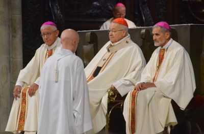 2017 09 10 POURNY Michel Mgr de Romanet (78)