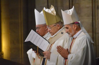 2017 09 10 POURNY Michel Mgr de Romanet (82)